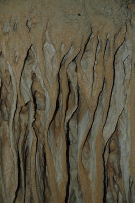 DSC_6105.JPG