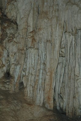 DSC_6107.JPG