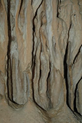 DSC_6108.JPG