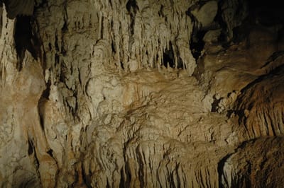DSC_6110.JPG