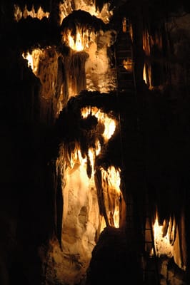 DSC_6115.JPG