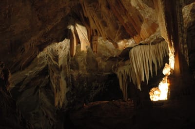 DSC_6124.JPG