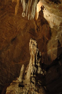 DSC_6125.JPG