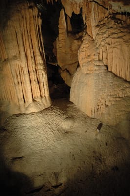 DSC_6132.JPG