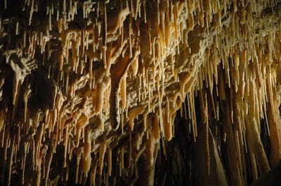 DSC_6142.JPG