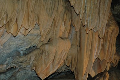 DSC_6145.JPG