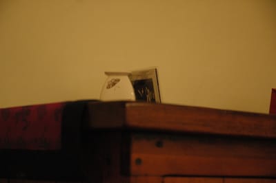 DSC_6391.JPG