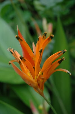 DSC_6645.JPG