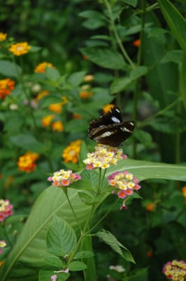 DSC_6646.JPG