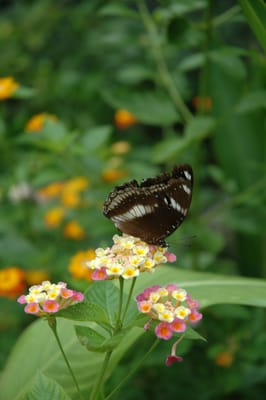 DSC_6647.JPG