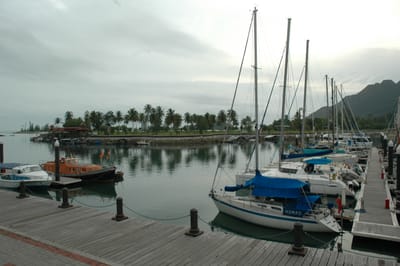 DSC_6683.JPG