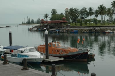 DSC_6684.JPG
