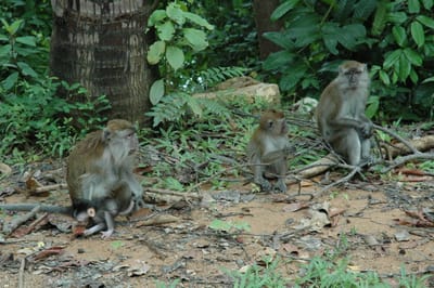 DSC_6736.JPG