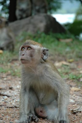 DSC_6743.JPG