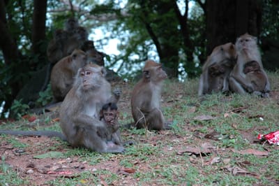 DSC_6744.JPG