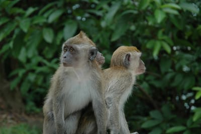 DSC_6749.JPG