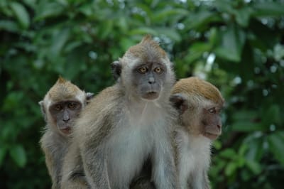 DSC_6750.JPG