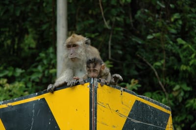 DSC_7059.JPG