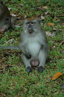 DSC_7061.JPG