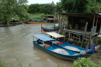 DSC_6753.JPG