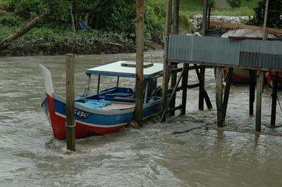 DSC_6754.JPG