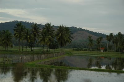 DSC_6783.JPG