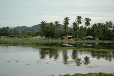 DSC_6784.JPG