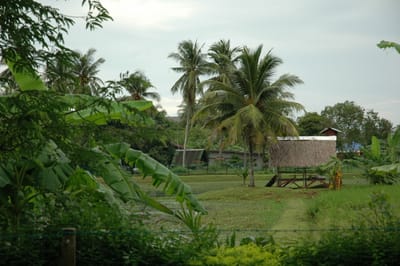 DSC_6786.JPG
