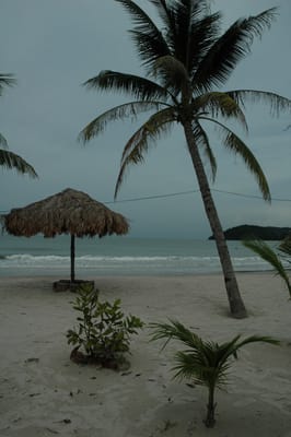 DSC_6890.JPG