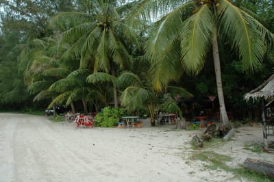 DSC_7017.JPG