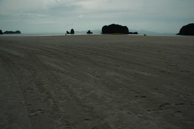 DSC_7018.JPG