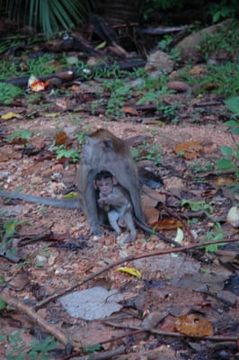 DSC_7055.JPG