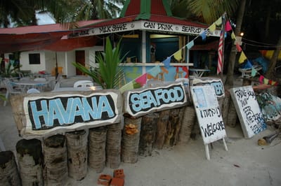 DSC_6798.JPG