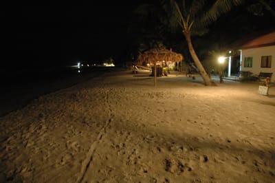 DSC_6869.JPG