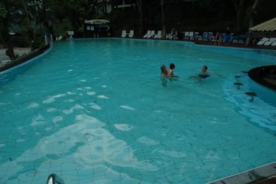 DSC_7026.JPG
