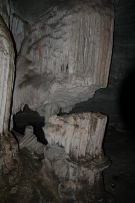 DSC_6911.JPG