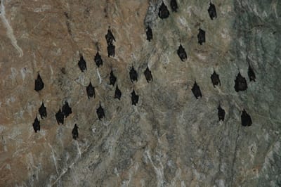 DSC_6915.JPG