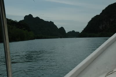DSC_6924.JPG