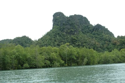 DSC_6925.JPG