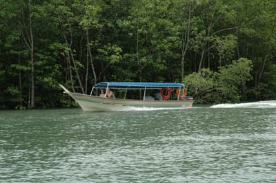 DSC_6927.JPG