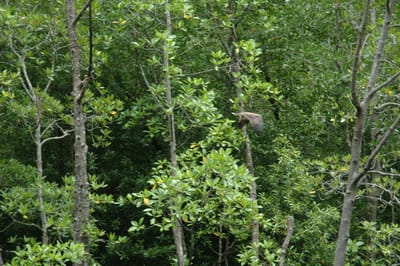 DSC_6930.JPG