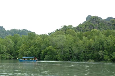 DSC_6931.JPG
