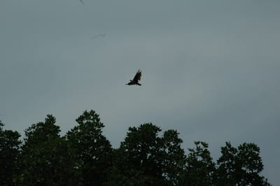 DSC_6932.JPG
