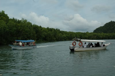 DSC_6933.JPG