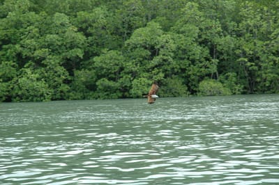 DSC_6934.JPG