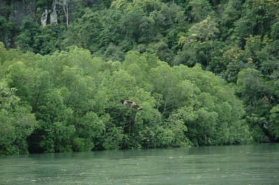 DSC_6936.JPG
