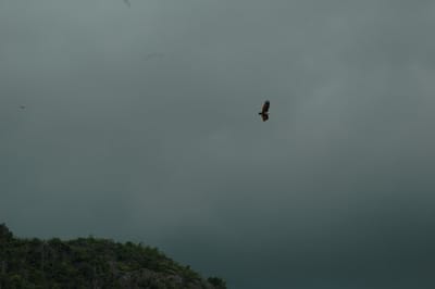 DSC_6940.JPG