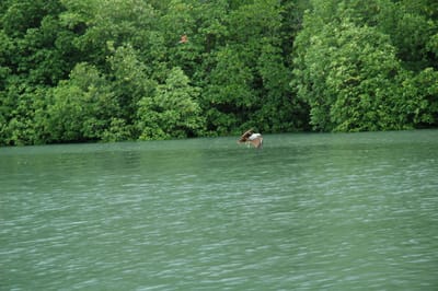 DSC_6942.JPG