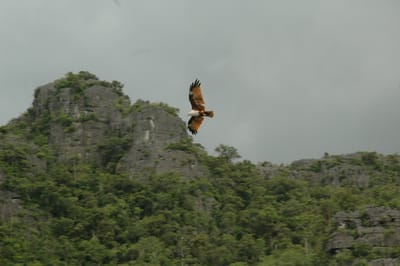 DSC_6943.JPG