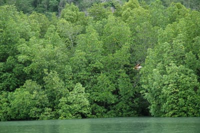DSC_6944.JPG